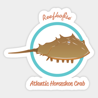 Horseshoe Crab Sticker